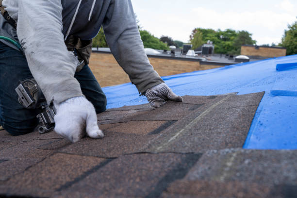 Best Roof Waterproofing Services  in Wellston, OH