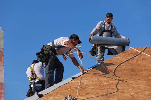 Best Roof Gutter Cleaning  in Wellston, OH